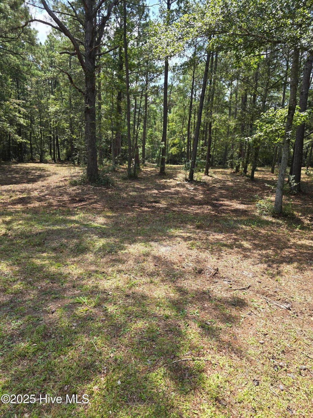 Photo of 2539 Shell Point Road SW, Shallotte, NC 28470 (MLS # 100526805)