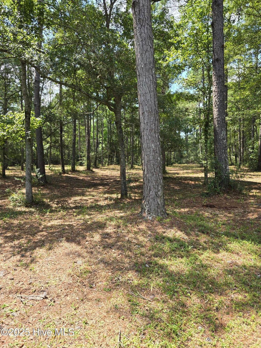 Photo of 2539 Shell Point Road SW, Shallotte, NC 28470 (MLS # 100526805)