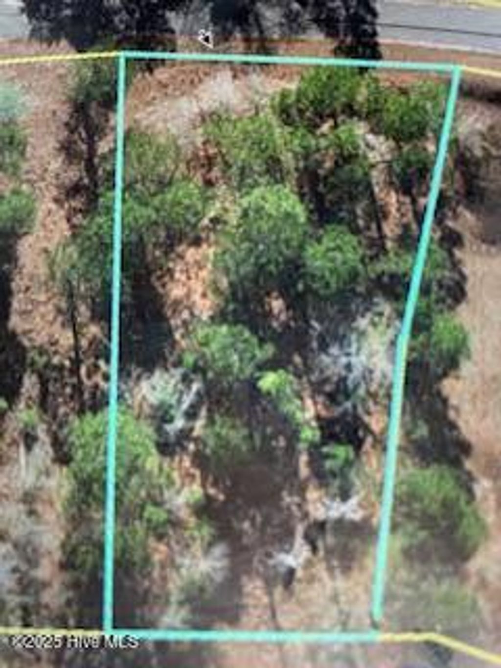 Photo of 584 S Horsepen Road S, Harrells, NC 28444 (MLS # 100527726)