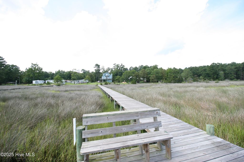 Photo of 243 Youpon Drive, Hubert, NC 28539 (MLS # 100543059)