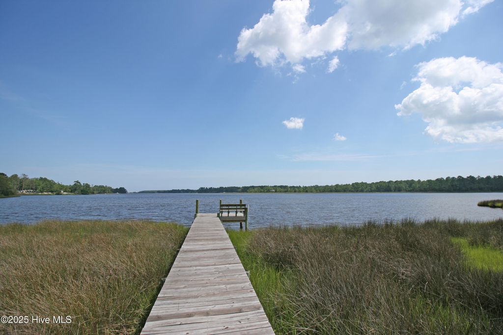 Photo of 243 Youpon Drive, Hubert, NC 28539 (MLS # 100543059)