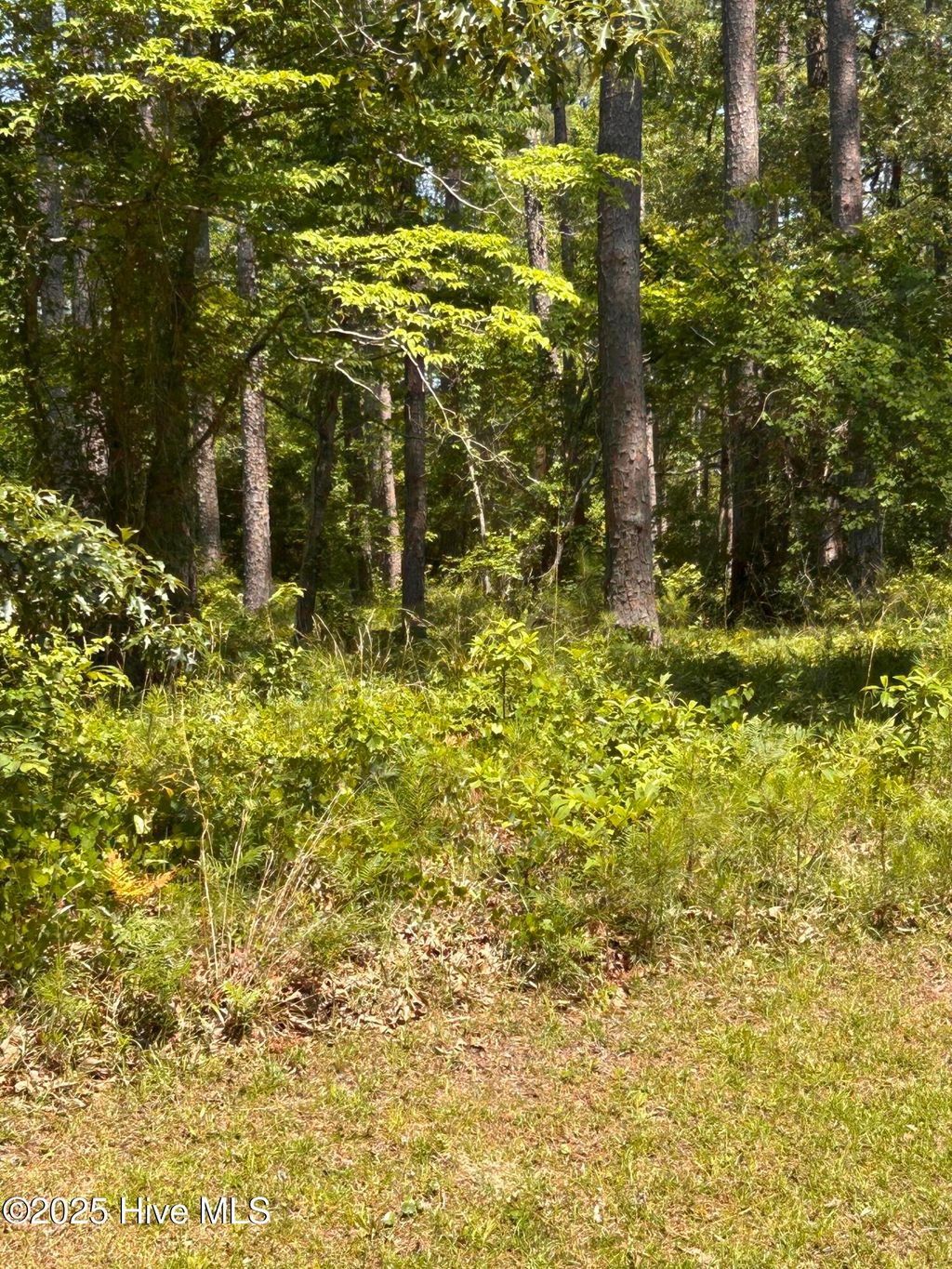 Photo of 135 Martin Creek Drive, Beaufort, NC 28516 (MLS # 100508965)