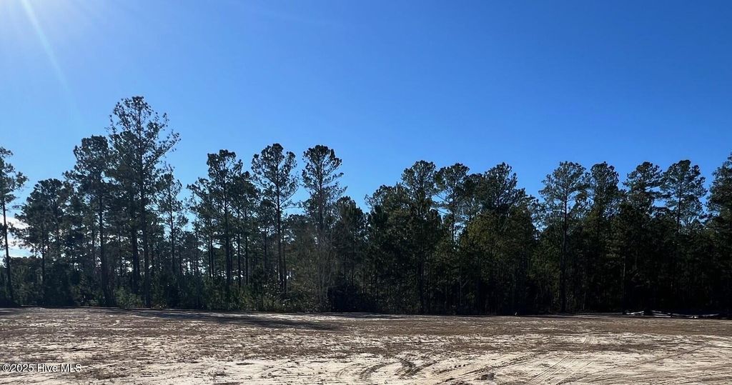Photo of 3042 W Timber Crest Lane NE, Leland, NC 28451 (MLS # 100485665)