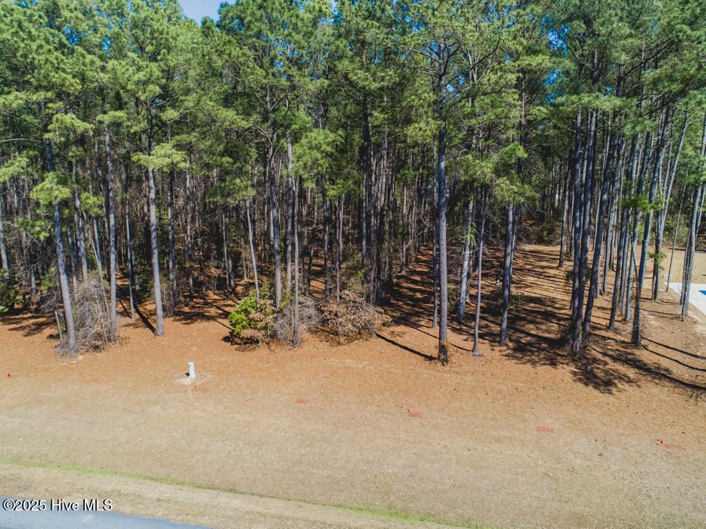 Photo of 76 Chickory Lane, Minnesott Beach, NC 28510 (MLS # 100465450)