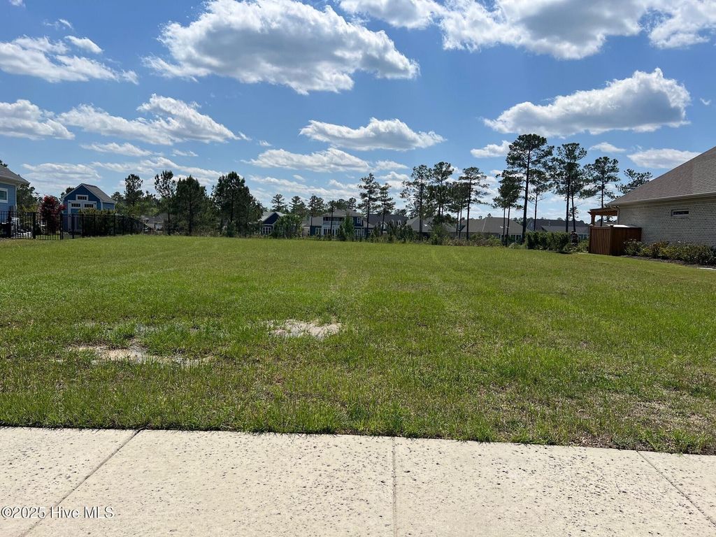 Photo of 8607 Grassy Meadow Walk NE, Leland, NC 28451 (MLS # 100527876)