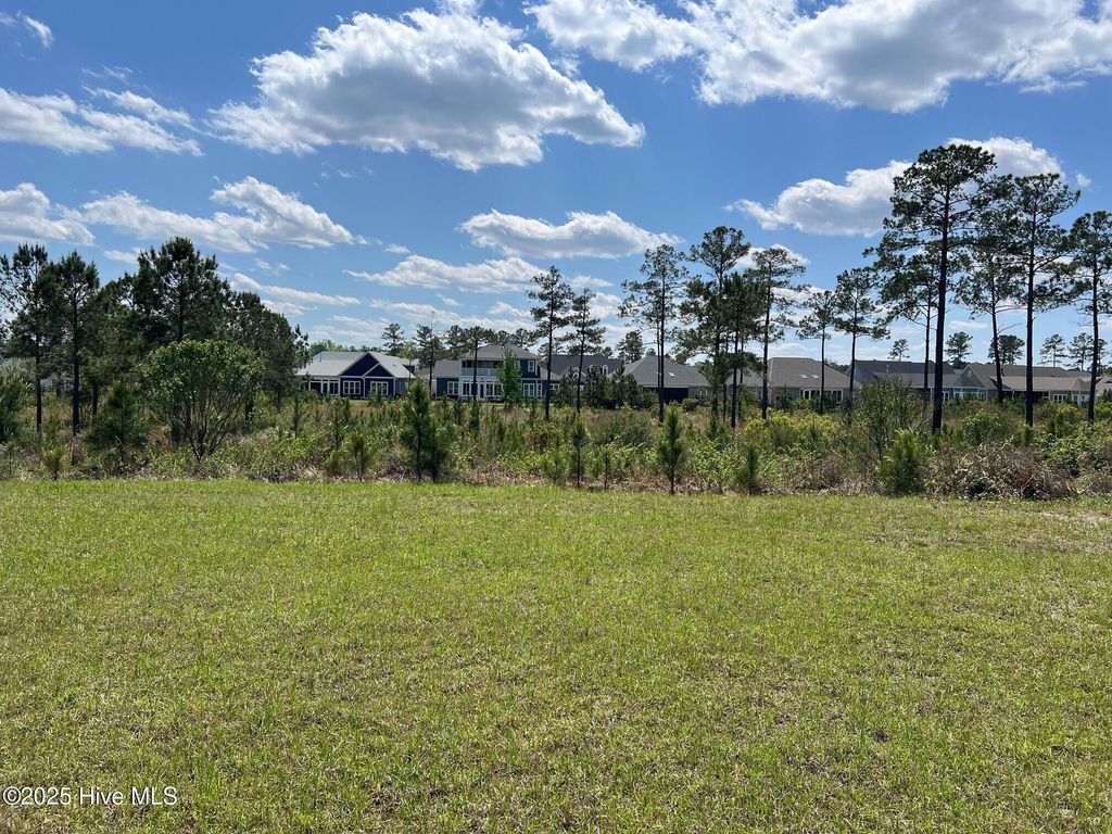 Photo of 8607 Grassy Meadow Walk NE, Leland, NC 28451 (MLS # 100527876)