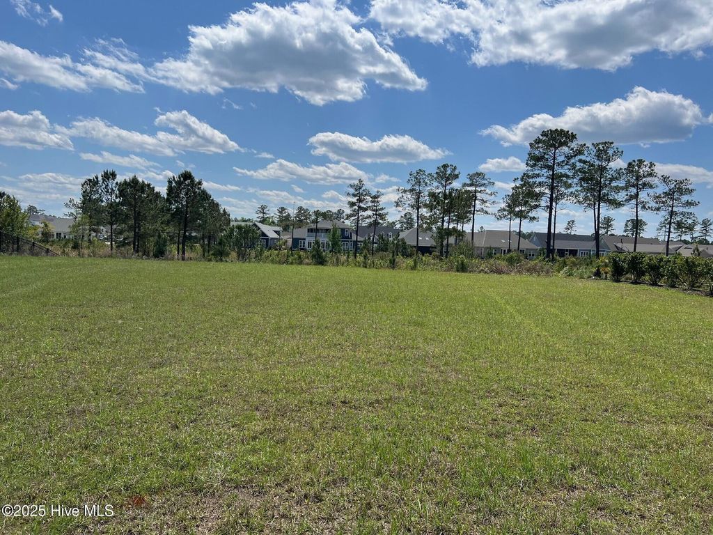 Photo of 8607 Grassy Meadow Walk NE, Leland, NC 28451 (MLS # 100527876)