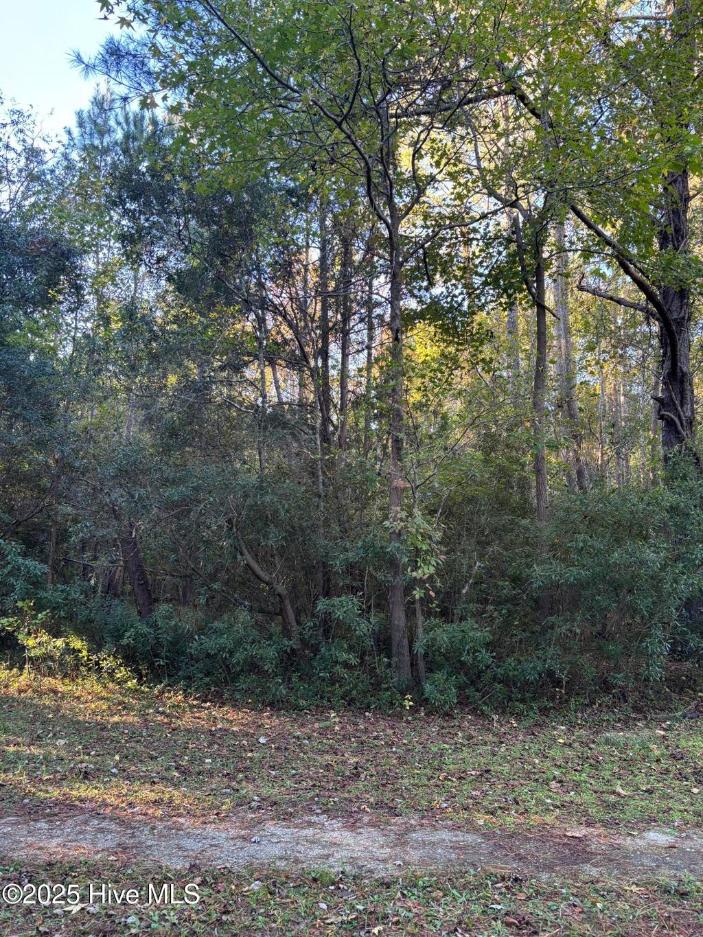 Photo of 0 Canal Road, Rocky Point, NC 28457 (MLS # 100537229)