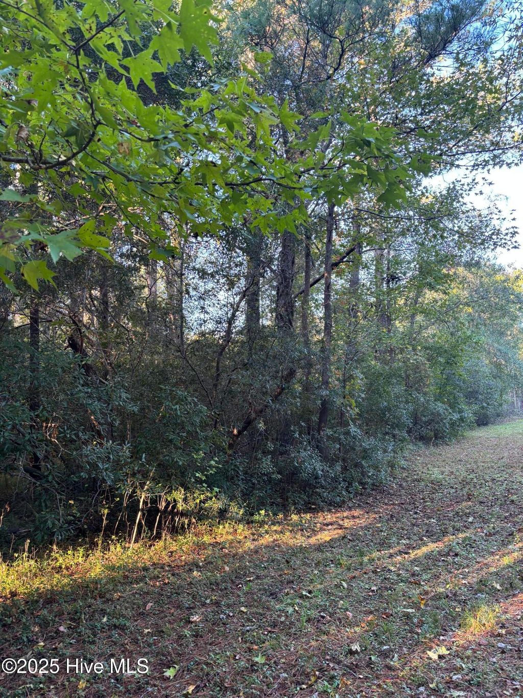 Photo of 0 Canal Road, Rocky Point, NC 28457 (MLS # 100537229)