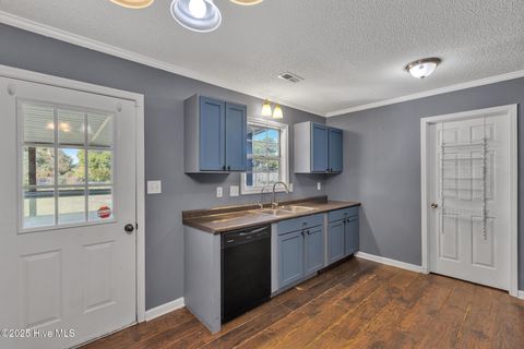 Tiny photo for 409 Foxtrace Lane, Hubert, NC 28539 (MLS # 100539855)