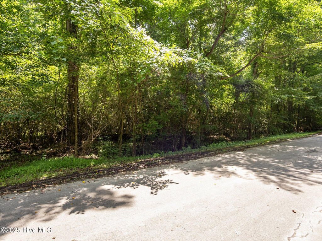 Photo of 110 Tradewinds Road, Newport, NC 28570 (MLS # 100516701)