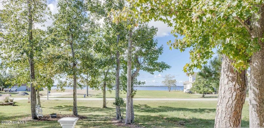 Photo of 205 E Dowry Creek, Belhaven, NC 27810 (MLS # 100535235)