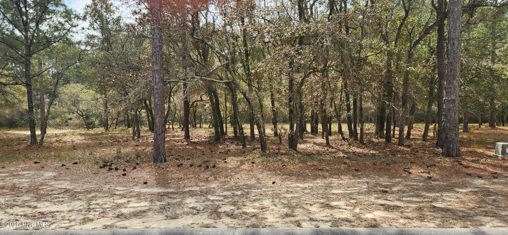 Photo of 3611 Concordia Avenue SW, Supply, NC 28462 (MLS # 100498654)