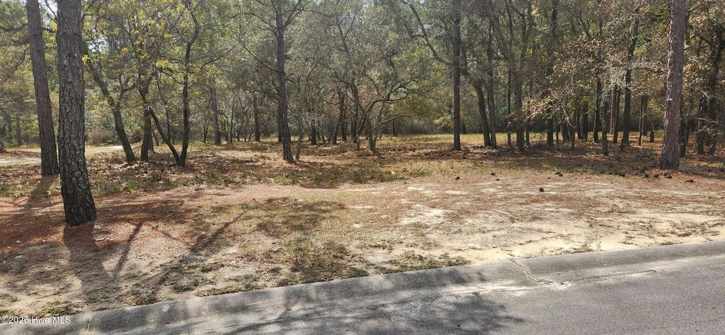 Photo of 3611 Concordia Avenue SW, Supply, NC 28462 (MLS # 100498654)