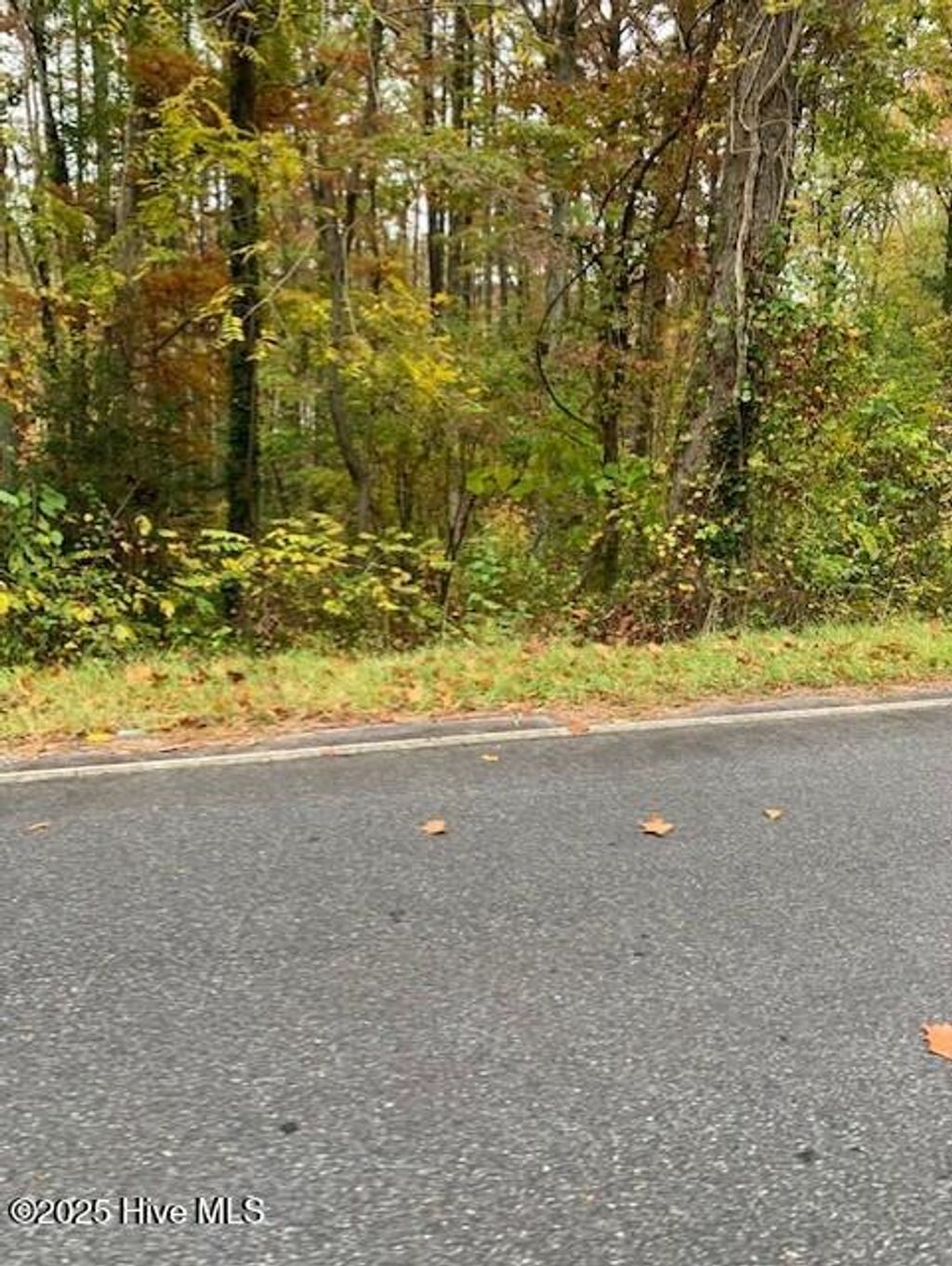 Photo of Tbd Swains Mill Road, Harrellsville, NC 27942 (MLS # 100542411)