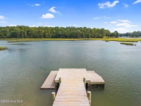 Tiny photo for 135 Hydrangea Lane, Hampstead, NC 28443 (MLS # 100533395)