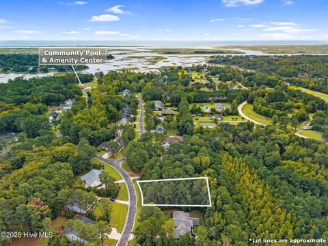 Tiny photo for 135 Hydrangea Lane, Hampstead, NC 28443 (MLS # 100533395)
