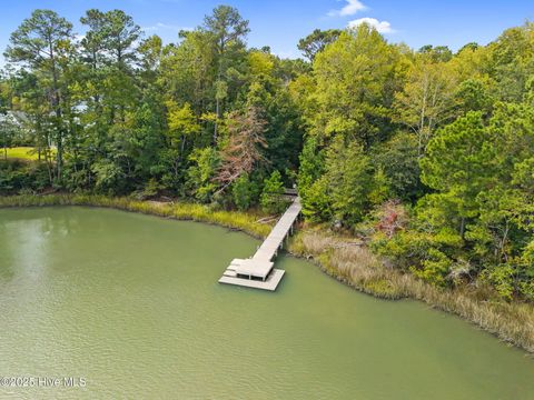 Tiny photo for 135 Hydrangea Lane, Hampstead, NC 28443 (MLS # 100533395)