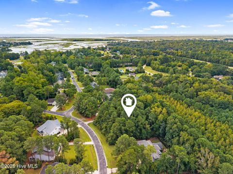 Photo of 135 Hydrangea Lane, Hampstead, NC 28443 (MLS # 100533395)