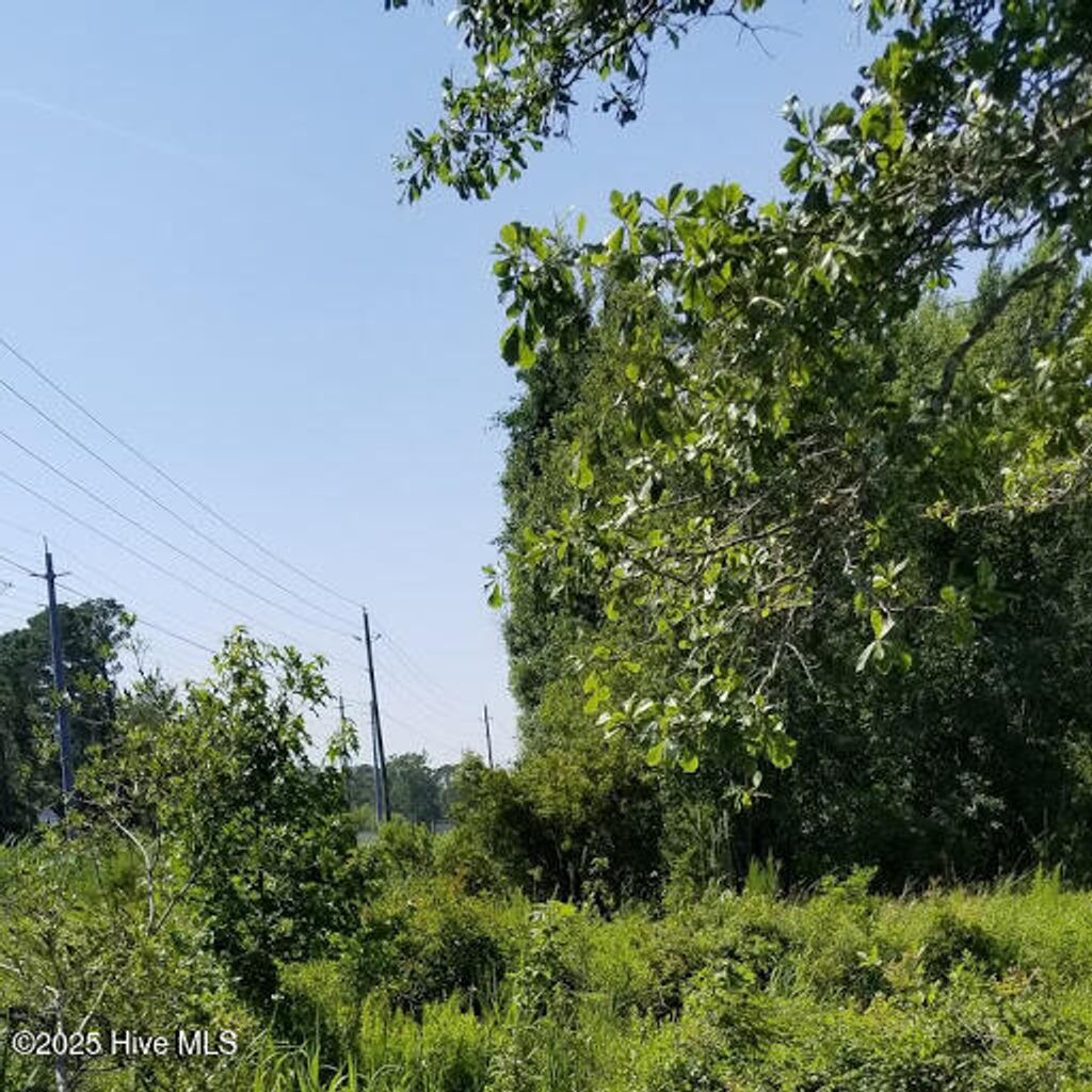 Photo of 14200 Hwy 50, Surf City, NC 28445 (MLS # 100505220)
