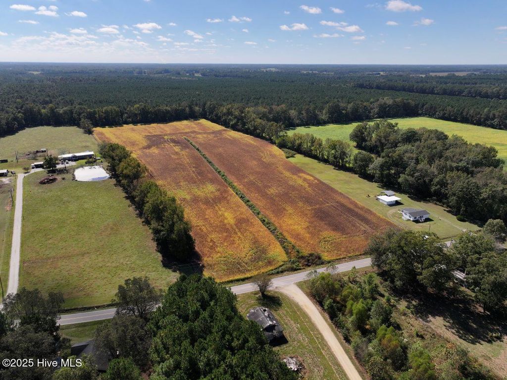 Photo of 0 Corbett Hill Road, Mount Olive, NC 28365 (MLS # 100537530)