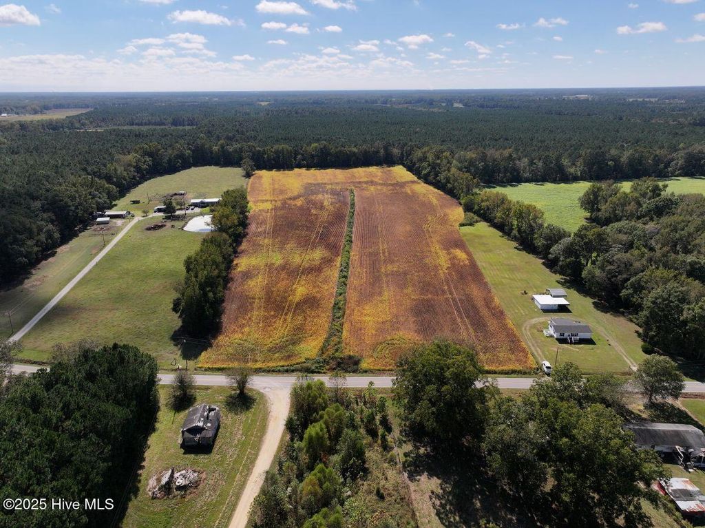 Photo of 0 Corbett Hill Road, Mount Olive, NC 28365 (MLS # 100537530)