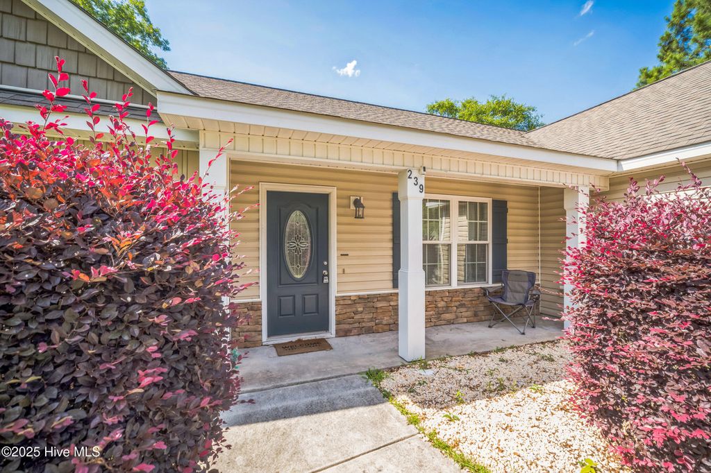 Photo of 239 Shellbank Drive, Sneads Ferry, NC 28460 (MLS # 100517815)