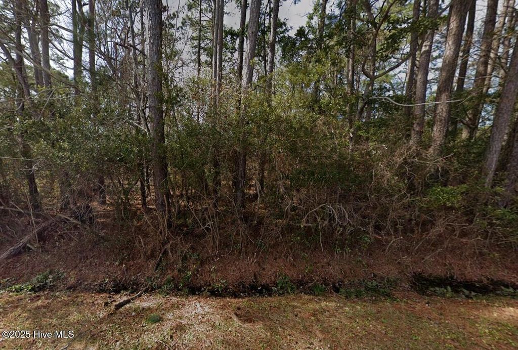Photo of 128 Pettiford Road, Peletier, NC 28584 (MLS # 100530132)