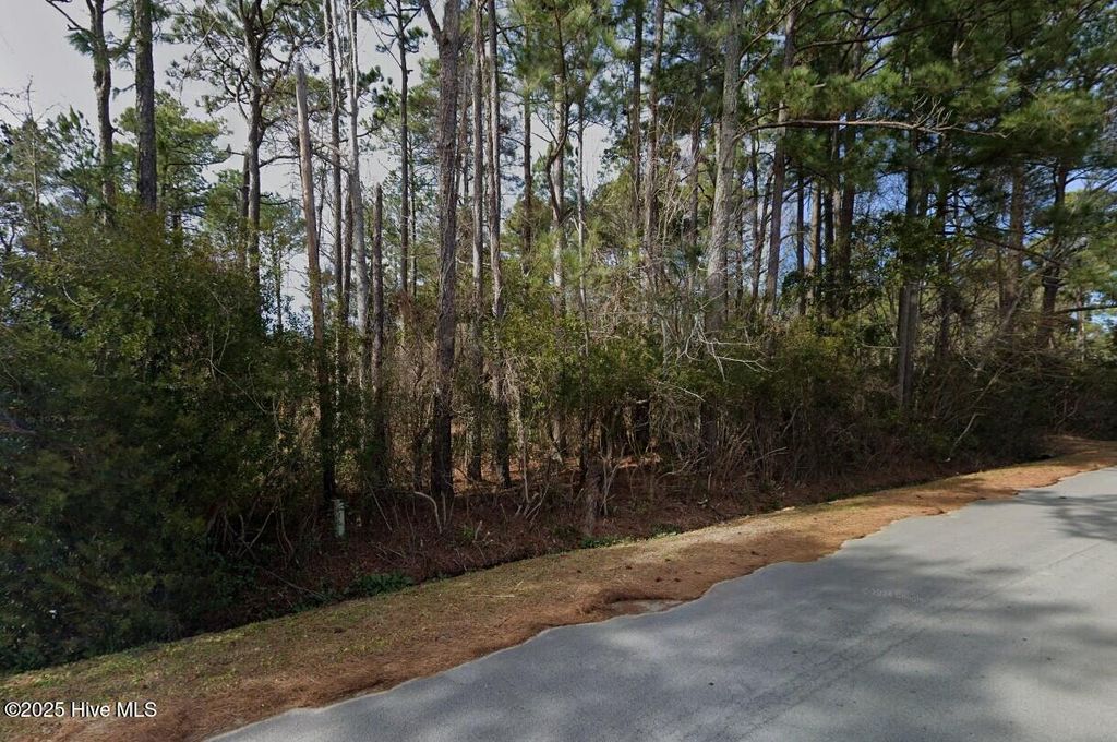 Photo of 128 Pettiford Road, Peletier, NC 28584 (MLS # 100530132)
