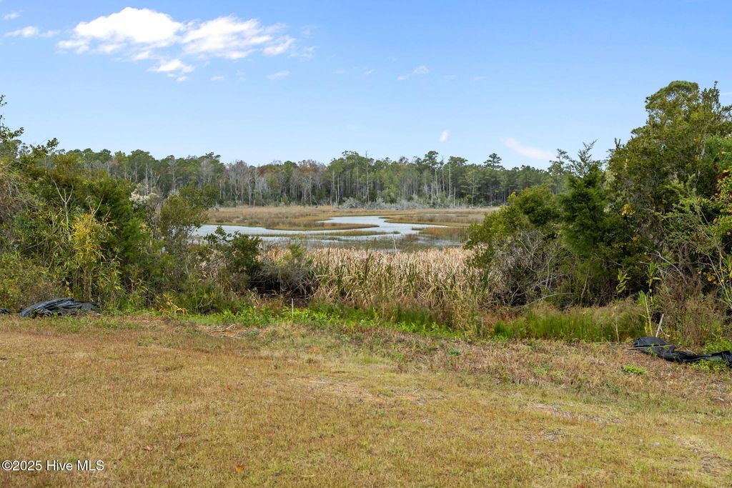 Photo of 106 Marshland Circle, Newport, NC 28570 (MLS # 100535917)