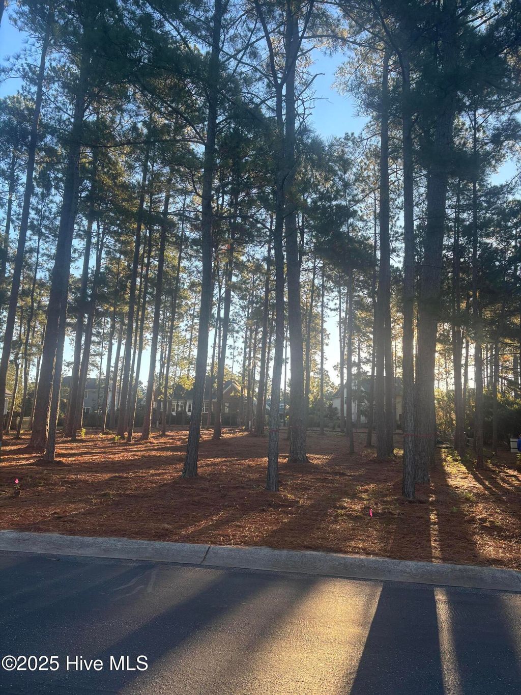 Photo of 25 Plantation Drive, Southern Pines, NC 28387 (MLS # 100538699)