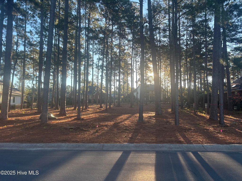 Photo of 25 Plantation Drive, Southern Pines, NC 28387 (MLS # 100538699)