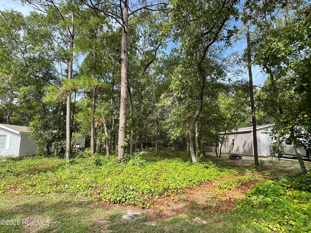 Photo of 3527 Tarpon Court SE, Bolivia, NC 28422 (MLS # 100526164)
