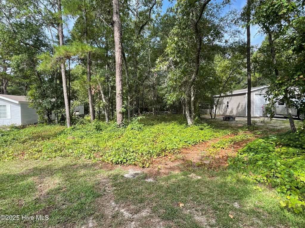 Photo of 3527 Tarpon Court SE, Bolivia, NC 28422 (MLS # 100526164)