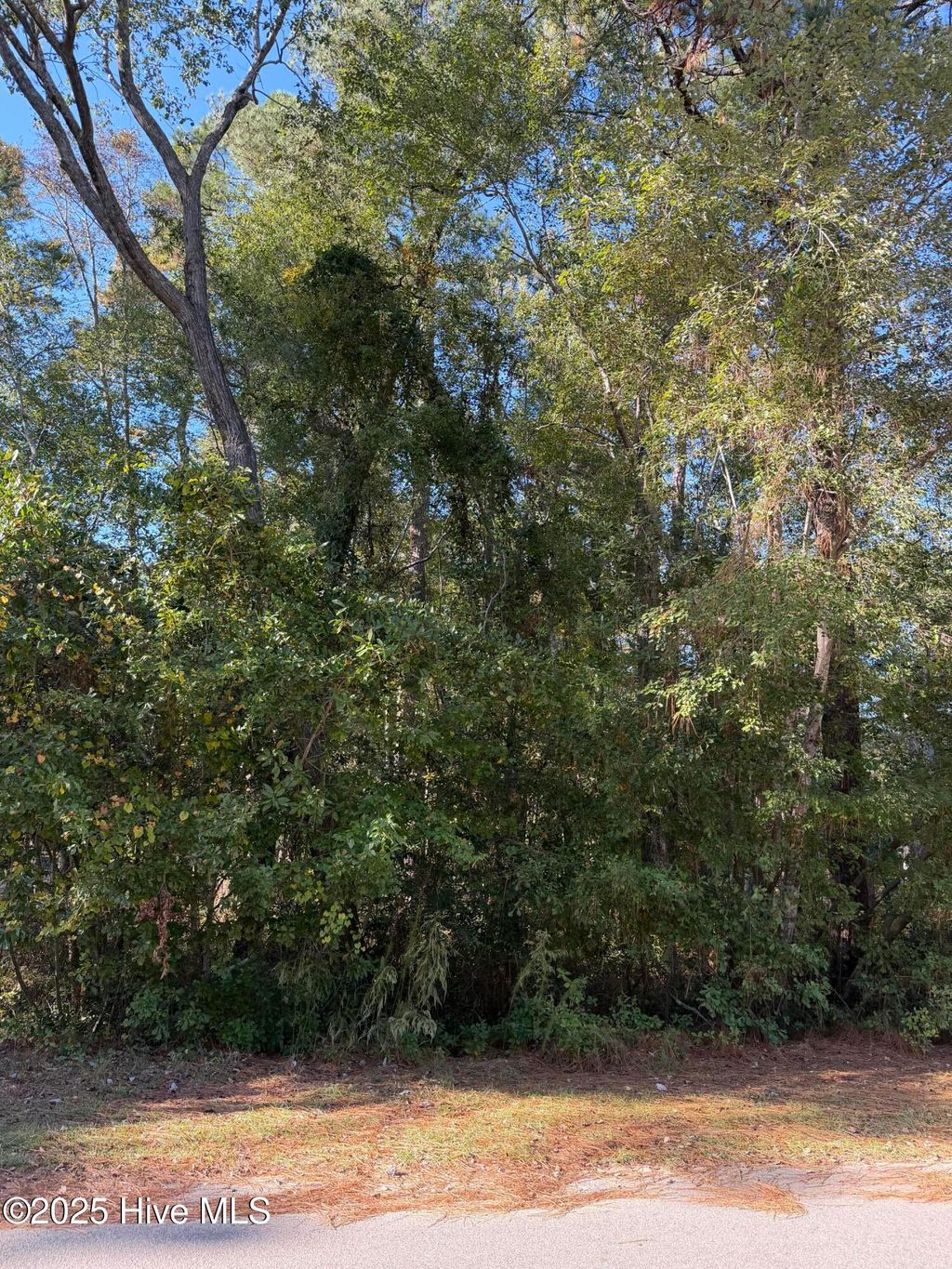 Photo of 280 Sandhills Circle, Pinehurst, NC 28374 (MLS # 100537370)