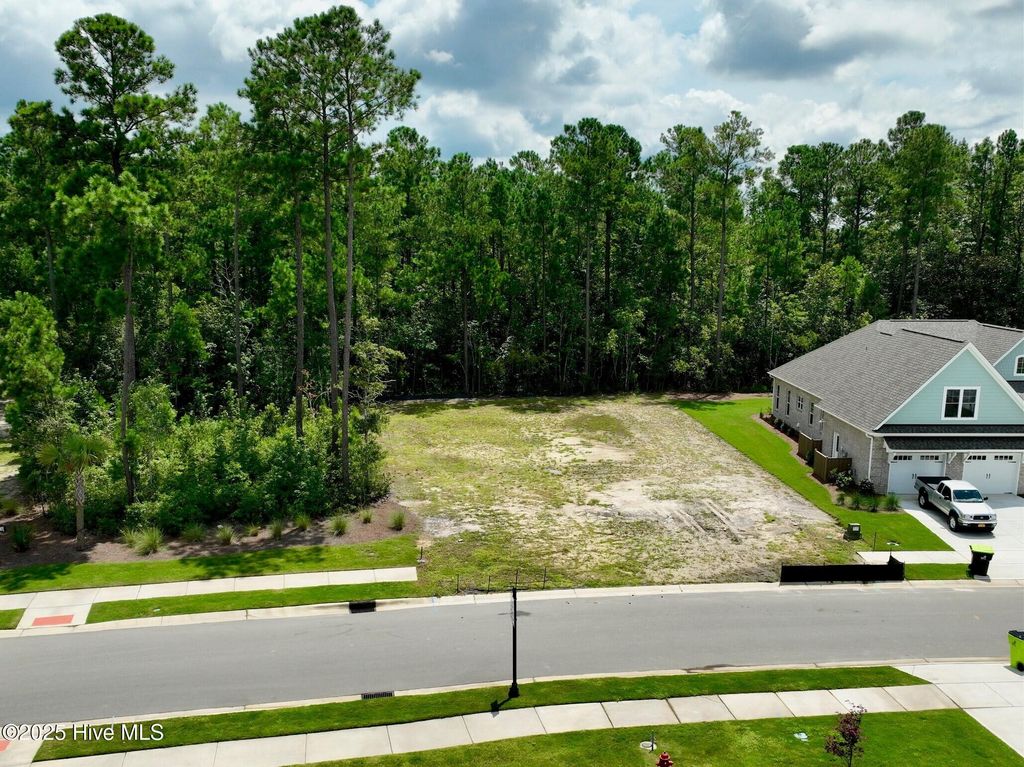 Photo of 5010 Saltgrass Cove, Leland, NC 28451 (MLS # 100525725)