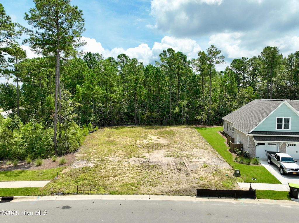 Photo of 5010 Saltgrass Cove, Leland, NC 28451 (MLS # 100525725)