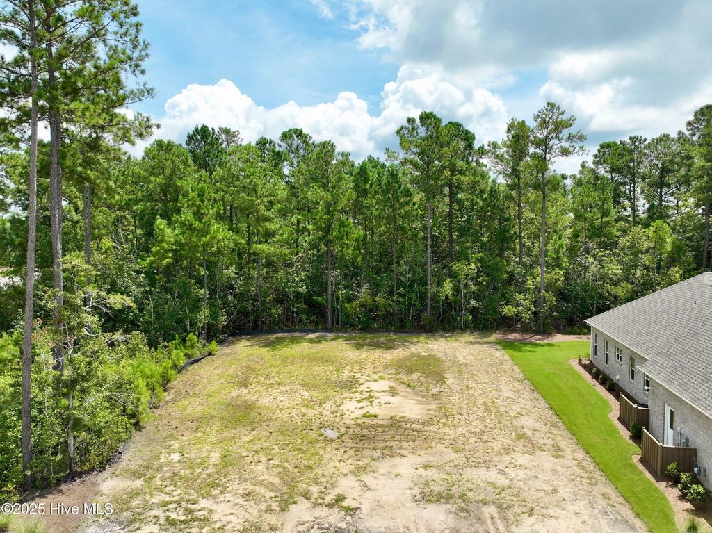 Photo of 5010 Saltgrass Cove, Leland, NC 28451 (MLS # 100525725)