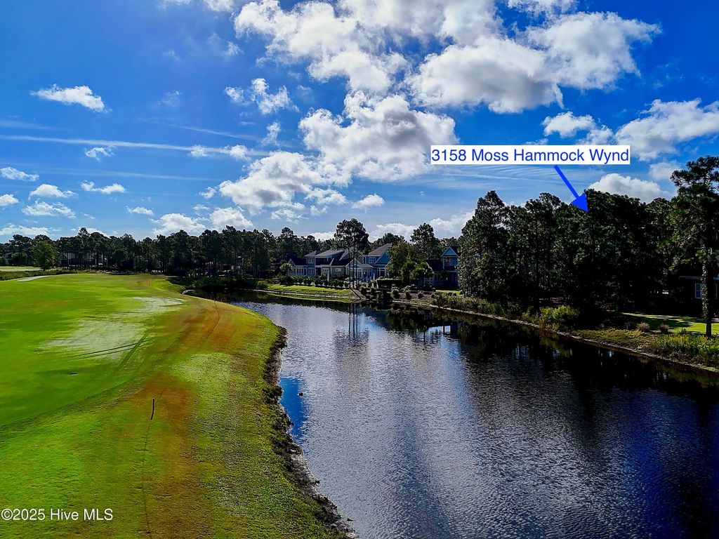 Photo of 3158 Moss Hammock Wynd, Southport, NC 28461 (MLS # 100533091)