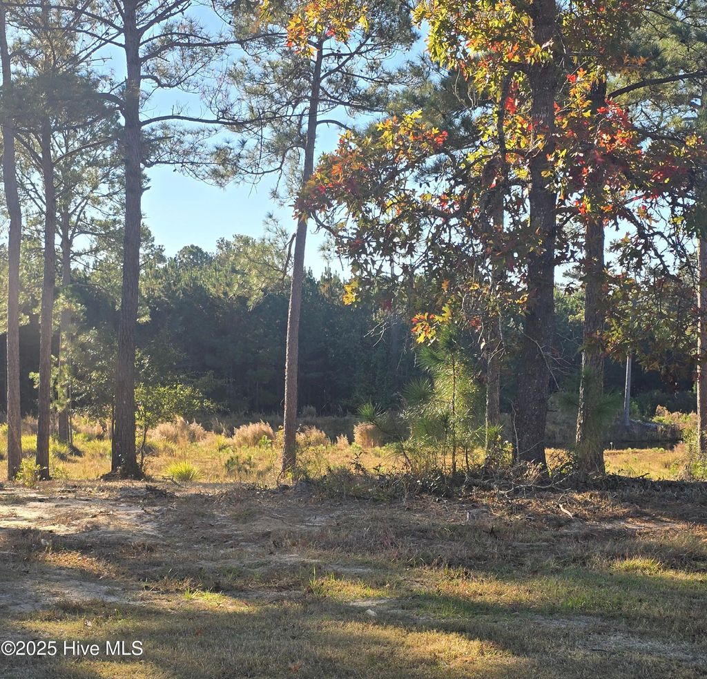 Photo of 7507 Wallace Place SW, Sunset Beach, NC 28468 (MLS # 100541690)