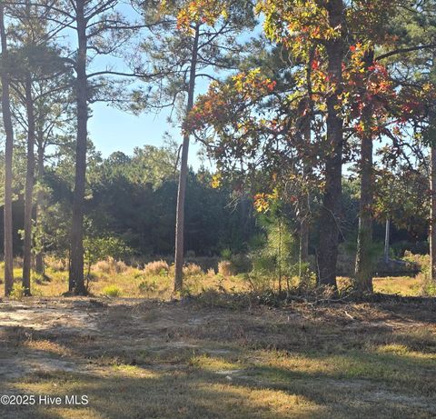 Photo of 7507 Wallace Place SW, Sunset Beach, NC 28468 (MLS # 100541690)
