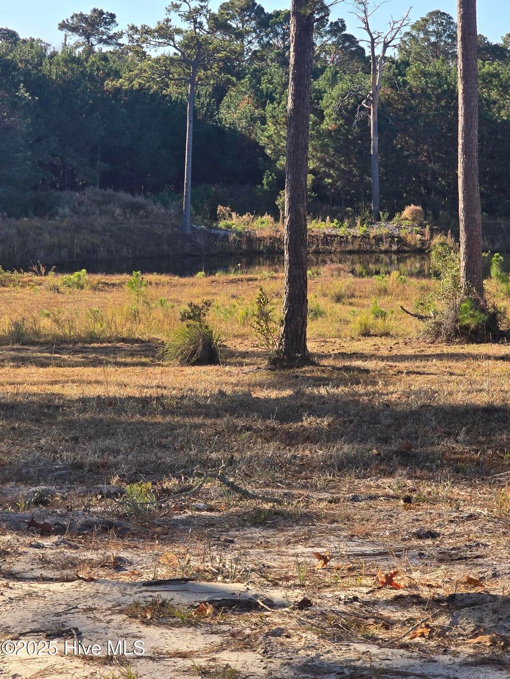 Photo of 7507 Wallace Place SW, Sunset Beach, NC 28468 (MLS # 100541690)