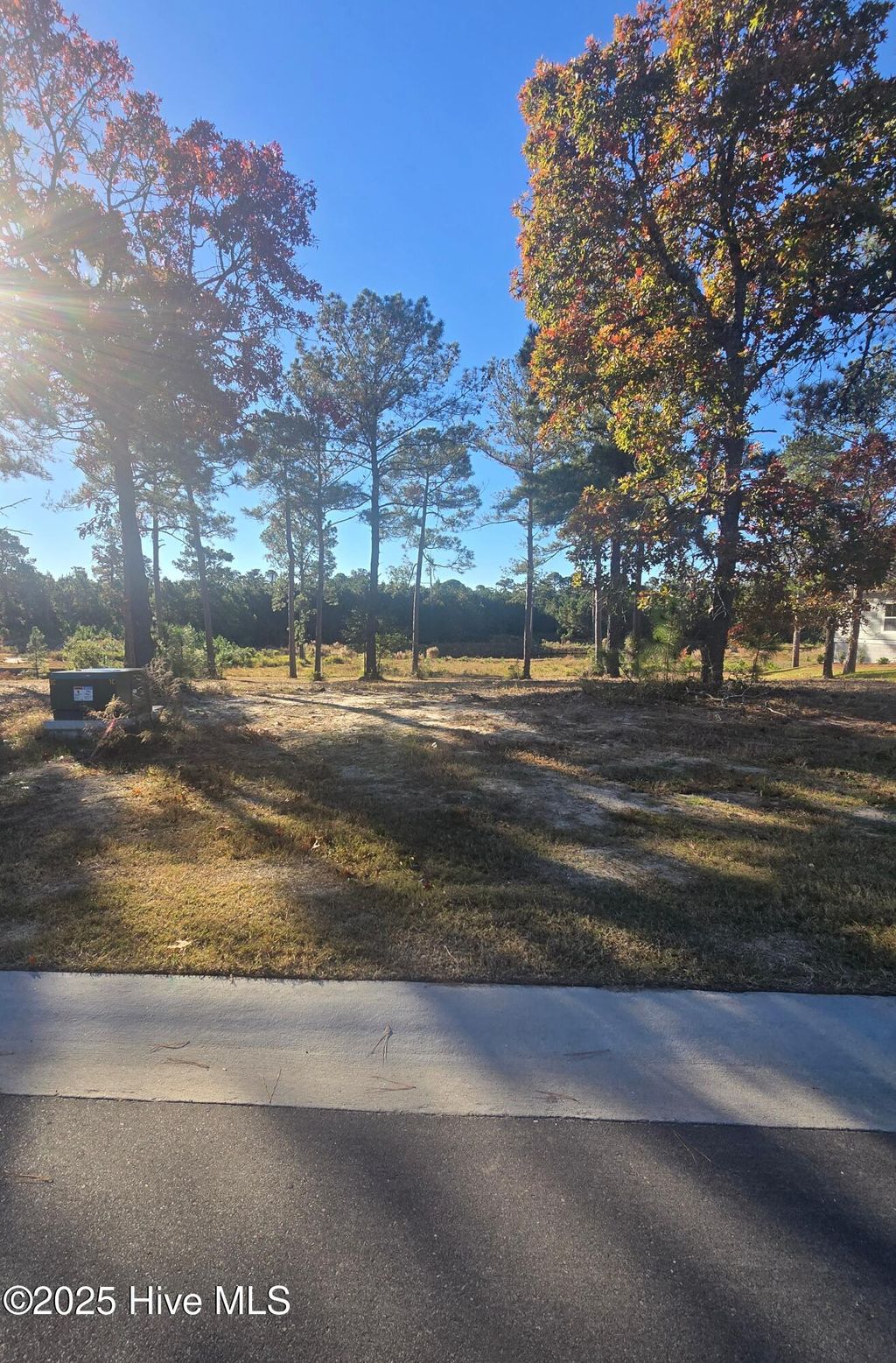 Photo of 7507 Wallace Place SW, Sunset Beach, NC 28468 (MLS # 100541690)
