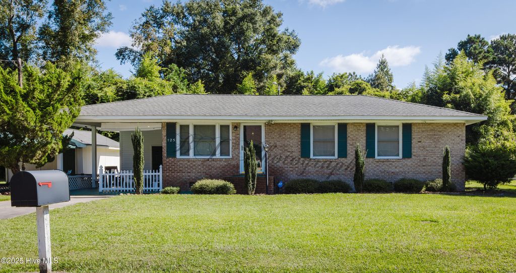 Photo of 125 Evans Street, Fair Bluff, NC 28439 (MLS # 100534450)