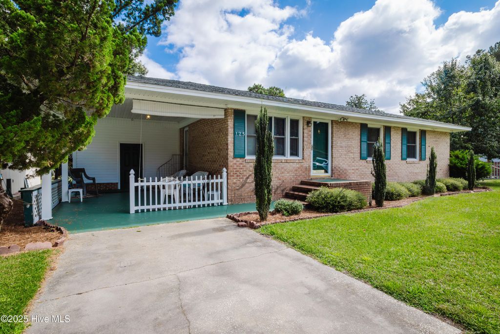 Photo of 125 Evans Street, Fair Bluff, NC 28439 (MLS # 100534450)