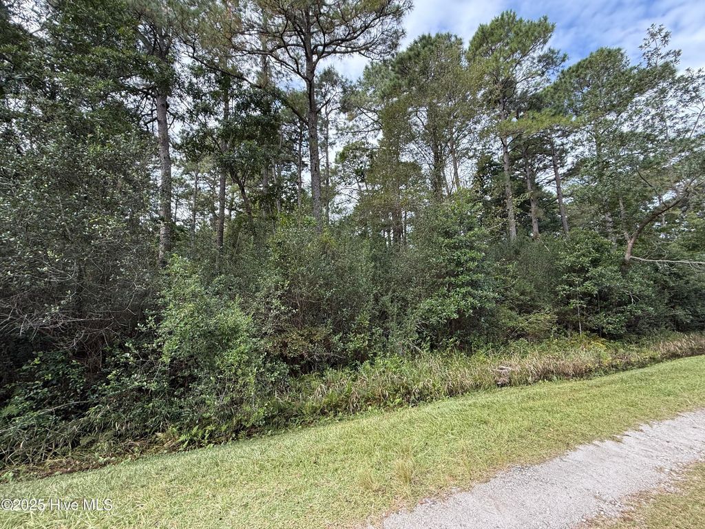 Photo of 49 Bluebird Road, Boiling Spring Lakes, NC 28461 (MLS # 100534647)