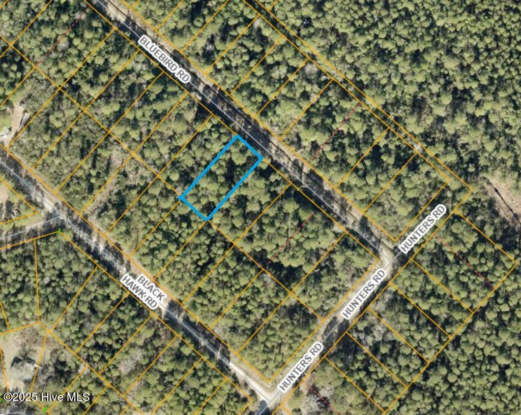 Photo of 49 Bluebird Road, Boiling Spring Lakes, NC 28461 (MLS # 100534647)