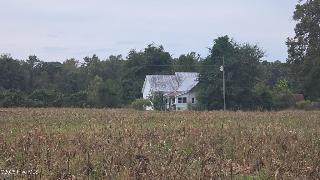 Photo of 229 Hanchey Road, Wallace, NC 28466 (MLS # 100535710)