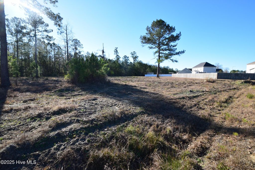 Photo of 0 Warbler Drive, New Bern, NC 28560 (MLS # 100487170)