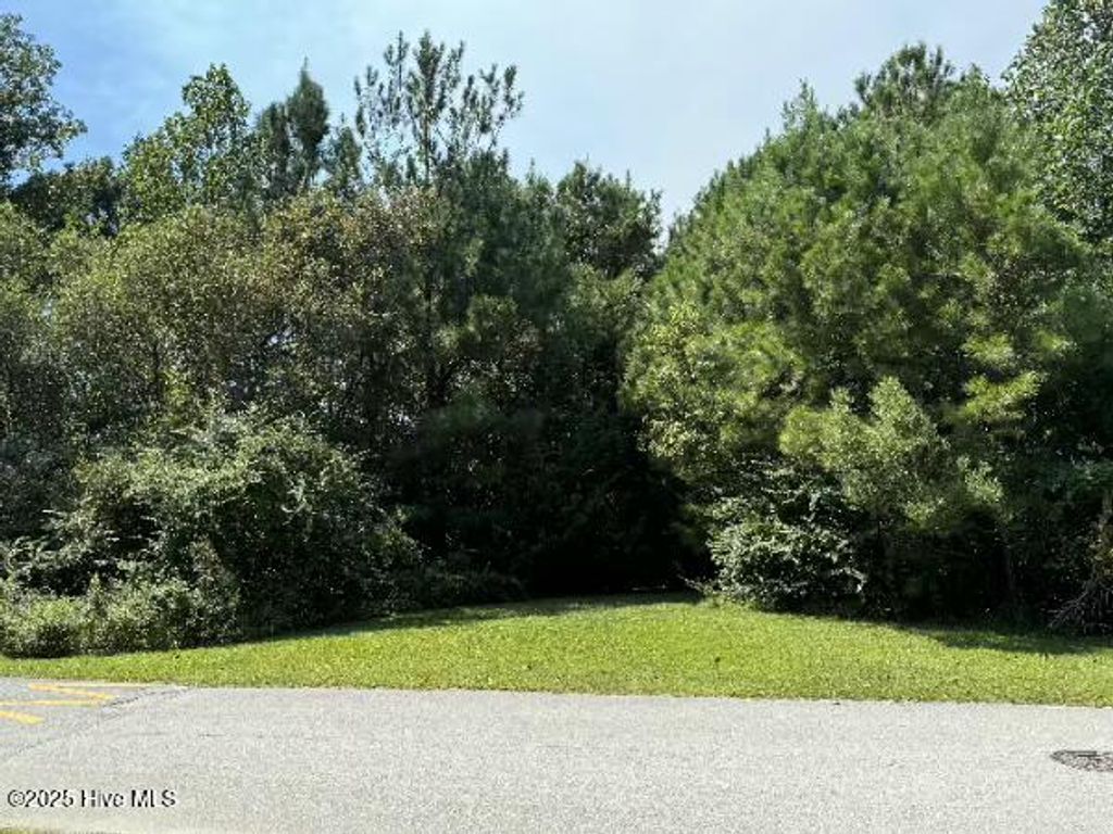 Photo of 230 Kings Creek Crossing, Holly Ridge, NC 28445 (MLS # 100527572)